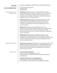 basic resume templates hloom