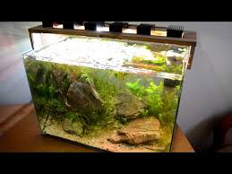 Über folgende fragen sollten sie vor dem aquarium einrichten nachdenken: Aquarium Setup 25 Liters In Iwagumi Style Youtube