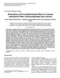 Image result for Lannea welwitschii