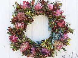 Image result for Protea rupestris