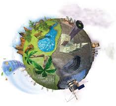 Ver más ideas sobre dia del medio ambiente, medio ambiente, día de la tierra. Juramento Por El Dia Mundial Del Medio Ambiente Viento Sur Noticias