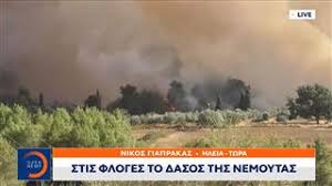 Ειδικότερα, στα 22 μέτωπα που ξέσπασαν σε όλη τη χώρα, επιχείρησαν για την κατάσβεσή τους συνολικά 294. Cgrty 0xdmn9hm