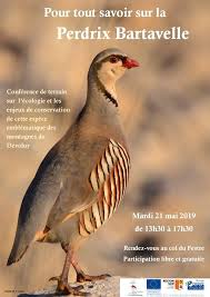 Il s'agit de technologies tierces, utilisées par exemple pour les publicités basées sur les intérêts : Type Featurecollection Features Properties Description Venue Hall Del Ayuntamiento De Ribamontan Al Monte City Ribamontan Al Monte Country Spain Dates 23 12 2019 28 12 2019 E Mail Cantabriaeuropa Cantabria Es Design And