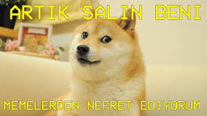 Find and save turkish memes | a person who is from or a descendant of the beautiful country of turkey. Turkiye De Meme Kulturu Rhinoceres Boynuz Avi Youtube