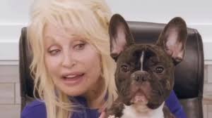 Did Dolly Parton Own A Dog? She Showered Her 'God Dog' Billy The Kid With Love — Yahoo