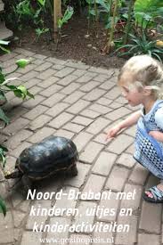 noord brabant met kinderen uitjes en kinderactiviteiten gezin op reis uitjes kinderen wandelen met kinderen