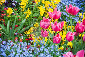 Wunderschöne dekoartikel, die ihren garten, ihre wohnung, ihr haus oder ihr büro sehr stilvoll im detail bereichern. Bunte Dekorative Blumen Garten Blumenbeet Wandsticker Schone Stiefmutterchen Tulpe Myloview De