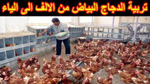 pin on مشاريع