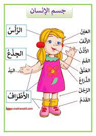 مكونات جسم الانسان الرأس و الجذع و الأطراف موقع مدرستي arabic kids arabic alphabet for kids learning english for kids