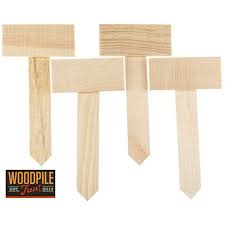 Get your supplies by saturday and spend a quiet sunday afternoon with your kids making fun crafts. Pin On Horticulture