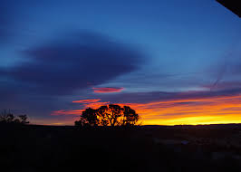 You'll need to know these 4 things as we. Yjpsevhpovhanm