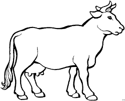Kuh Mit Euter 2 Ausmalbild Malvorlage Tiere