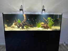 Custom glass or acrylic aquariums can be made to nearly any aquarium size specification. Stocking Ideas For 200 Gallon British Columbia Aquarium Forums