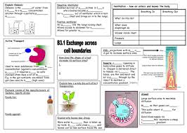 Aqa B3 Revision Sheets Science Notes Aqa Science Science Revision