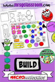 Build The 4 Major Macromolecules Partner Share Activity Macromolecules Macromolecules Activity Activities