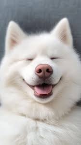 My best friend!! How cute 😍🐈💕🐁💕