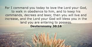 Deuteronomy 30 16 Bible Verse Of The Day Life Quotes Pictures Life Quotes Deuteronomy 30