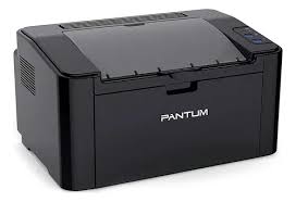 Impresora Pantum Monocromática P2516 Usb Negro