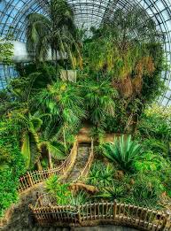 Tropische Garten Tropisch Warmend Garten Grun Sonne Ausfluge Haus Inse Ausfluge Garten Sonne Tropisch Tropisch Tropische Garten Tropischer Garten Und Balinesischer Garten
