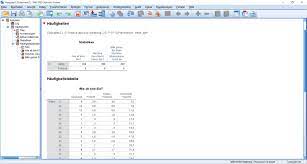 Spss Syntax Richtig Nutzen Novustat Statistik Beratung
