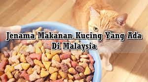 Ini akan disukai kucing anda yang. Jenama Makanan Kucing Yang Ada Di Malaysia Eintan Nurfuzie Lifestyle Beauty Travel Tips Rawatan Kucing Review