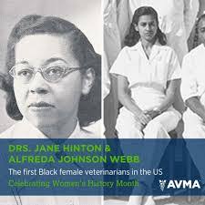 Virginia Calloway's Instagram, Twitter & Facebook