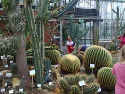 Im botanischen garten sind hunde erlaubt sofern sie an der kurzen leine geführt werden. ØµØ¨Ø§Ø±Ø§Øª Picture Of Kiel Botanical Gardens Tripadvisor