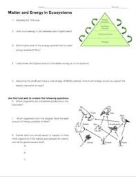 This Review Worksheet Covers Food Webs Trophic Pyramids Transfer Of Energy How Carbon Cycle Photosynthesis And Cellular Respiration Ecosystems Carbon Cycle