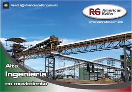 Pin En Rodillos Industriales