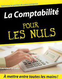 La Comptabilite Pour Les Nuls - Laurence Le Gallo - First - Ebook Pdf - Librairies Autrement