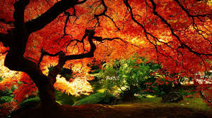 The best quality and size only with us! Autumn Pc Wallpapers Top Free Autumn Pc Backgrounds Wallpaperaccess