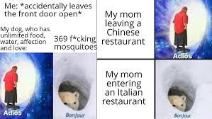 I sfw'd this meme bye giving them bra's are you proud of me? 15 Hilarious Adios Wormhole And Bonjour Bear Crossover Memes Know Your Meme