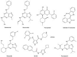 Cancers Free Full Text The Role Of Cdk5 In Tumours And Tumour Microenvironments