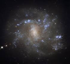Ngc 1398 es una galaxia espiral barrada. Ngc 2500 Wikipedia