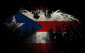 We did not find results for: Puerto Rico Flag Wallpapers Top Free Puerto Rico Flag Backgrounds Wallpaperaccess