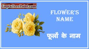 We did not find results for: Flower S Name In English With Hindi Meaning à¤« à¤² à¤• à¤¨ à¤®
