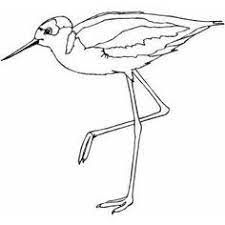 Sandpiper On One Leg Printable Coloring Page Free To Download And Print Coloring Pages Watercolor Bird Sandpiper