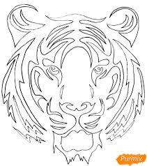 Tiger Tattoo Zeichnen Lernen Tutorial Dekoking Diy