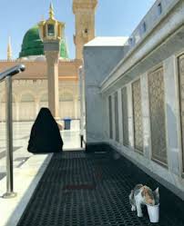 Pin By On A N I M A L S ر ف ق In 2020 Beautiful Islamic Quotes Medina Mosque Islamic Architecture