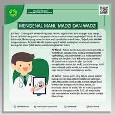 Untuk memudahkan pembahasan terkait dua cairan ini, masalah ini. Cara Perempuan Mengeluarkan Air Mani Dengan