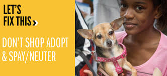 Big Fix for Big D updated their cover photo.