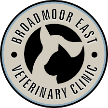 Welcome to cheyenne vision clinic with locations in cheyenne and laramie, our friendly doctors and staff are proud to be part of the largest independent optometry practice in wyoming. Spay And Neuter Broadmoor East Veterinary Clinic