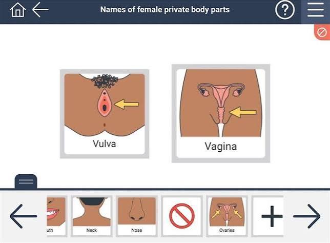 Names of female private body parts | SECCA