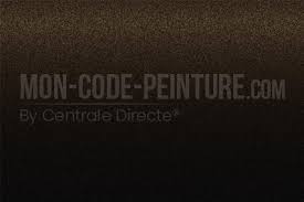 Image result for Brun Guaranja 2014 Peugeot