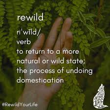 Follow Us On Instagram Wearewildness Wearewildness Instagram Mother Nature Quotes Wild Woman Nature Quotes