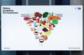 Image result for Nutrition Guidelines