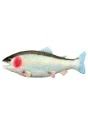 4.0 out of 5 stars 15. Fish Taco Costume For Adults