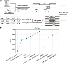 Mmsplice Modular Modeling Improves The Predictions Of Genetic Variant Effects On Splicing Springerlink