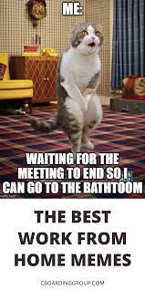 Work From Home Memes That Are 100 Accurate Working From Home Meme Class Memes Memes