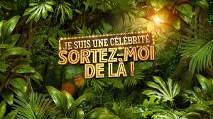 Alors que la date de diffusion du programme, tourné en afrique du sud, n'a pas encore été dévoilée, les informations sur le casting se multiplient. Retour Du Jeu Je Suis Une Celebrite Sortez Moi De La Sur Tf1 Passe Ton Casting